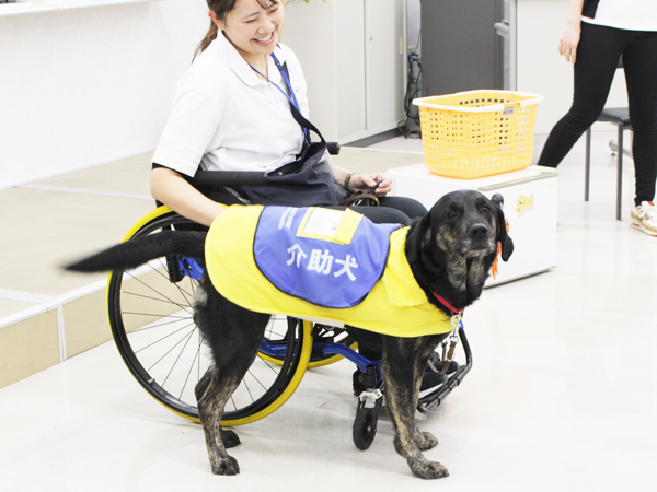 介助犬セミナー♪
